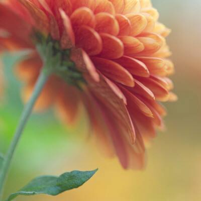 米乐·M6下载手机版