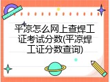 平凉怎么网上查焊工证考试分数(平凉焊工证分数查询)