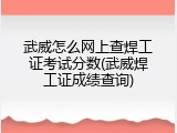 武威怎么网上查焊工证考试分数(武威焊工证成绩查询)