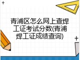 青浦区怎么网上查焊工证考试分数(青浦焊工证成绩查询)
