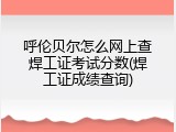 呼伦贝尔怎么网上查焊工证考试分数(焊工证成绩查询)