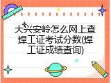 大兴安岭怎么网上查焊工证考试分数(焊工证成绩查询)