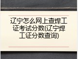 辽宁怎么网上查焊工证考试分数(辽宁焊工证分数查询)