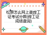 松原怎么网上查焊工证考试分数(焊工证成绩查询)