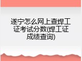 遂宁怎么网上查焊工证考试分数(焊工证成绩查询)