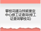 攀枝花建冶技能鉴定中心焊工证查询(焊工证查询攀枝花)
