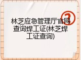 林芝应急管理厅官网查询焊工证(林芝焊工证查询)