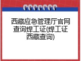 西藏应急管理厅官网查询焊工证(焊工证西藏查询)