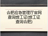 合肥应急管理厅官网查询焊工证(焊工证查询合肥)