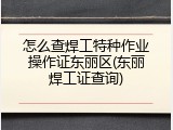 怎么查焊工特种作业操作证东丽区(东丽焊工证查询)