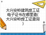 大兴安岭建筑焊工证电子证书在哪里查(大兴安岭焊工证查询)