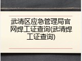 武清区应急管理局官网焊工证查询(武清焊工证查询)