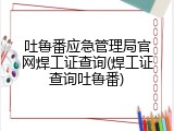 吐鲁番应急管理局官网焊工证查询(焊工证查询吐鲁番)