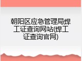朝阳区应急管理局焊工证查询网站(焊工证查询官网)