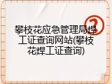 攀枝花应急管理局焊工证查询网站(攀枝花焊工证查询)