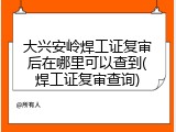 大兴安岭焊工证复审后在哪里可以查到(焊工证复审查询)