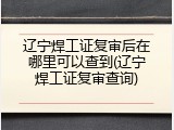 辽宁焊工证复审后在哪里可以查到(辽宁焊工证复审查询)