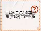 宣城焊工证在哪里查询(宣城焊工证查询)