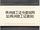株洲焊工证书查询网址(株洲焊工证查询)