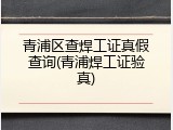 青浦区查焊工证真假查询(青浦焊工证验真)