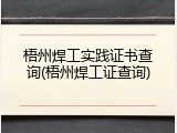 梧州焊工实践证书查询(梧州焊工证查询)