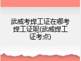 武威考焊工证在哪考焊工证呢(武威焊工证考点)