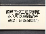 葫芦岛焊工证拿到证多久可以查到(葫芦岛焊工证查询周期)