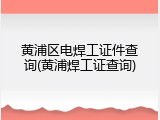 黄浦区电焊工证件查询(黄浦焊工证查询)