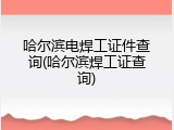哈尔滨电焊工证件查询(哈尔滨焊工证查询)