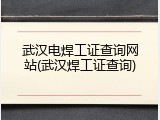 武汉电焊工证查询网站(武汉焊工证查询)