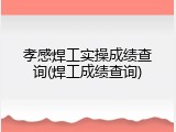 孝感焊工实操成绩查询(焊工成绩查询)