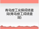 青岛焊工实操成绩查询(青岛焊工成绩查询)