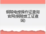 铜陵电焊操作证查询官网(铜陵焊工证查询)