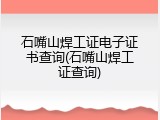 石嘴山焊工证电子证书查询(石嘴山焊工证查询)