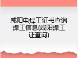 咸阳电焊工证书查询焊工信息(咸阳焊工证查询)