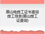 眉山电焊工证书查询焊工信息(眉山焊工证查询)